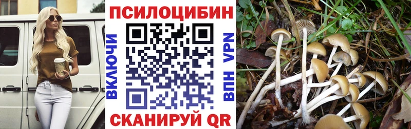Псилоцибиновые грибы Cubensis  Щигры 